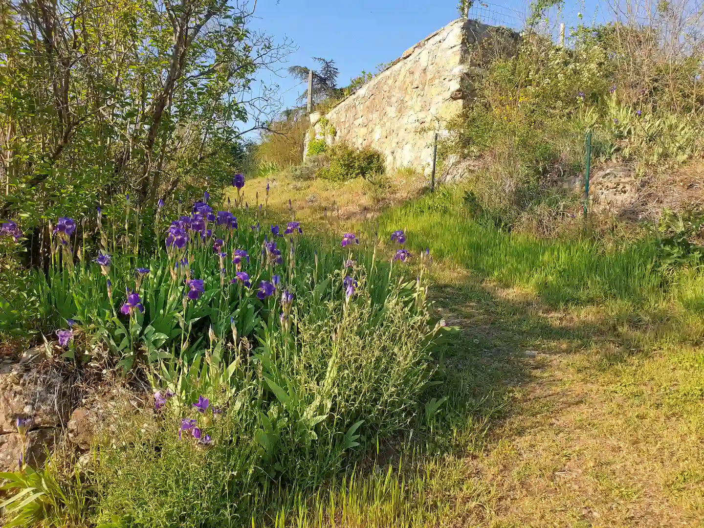 Chemini d'accès piéton, La Tour, meublé de tourisme à La Bâtie, location à Vienne.