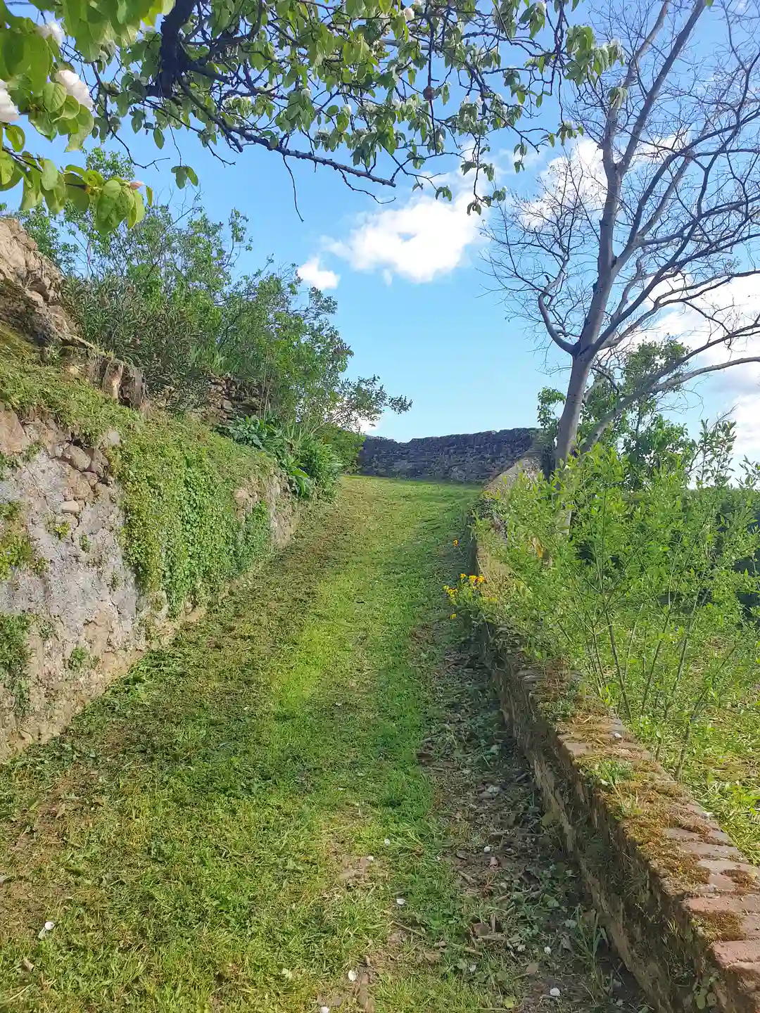 Chemin piéton à 5 minutes du centre, meublé de tourisme à La Bâtie, location à Vienne.